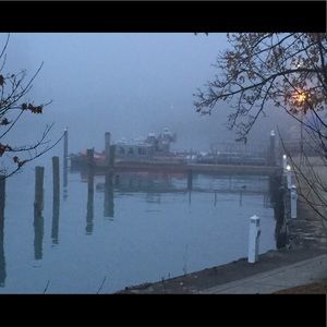 Meet your Posher, Sally